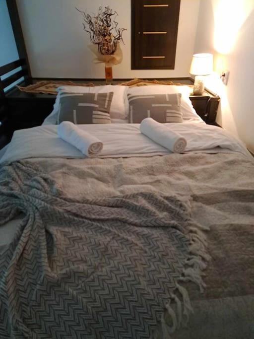 Sofia'S Home Comfy Studio In The Old Town Braşov Buitenkant foto