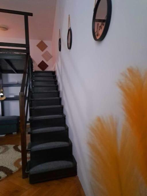 Sofia'S Home Comfy Studio In The Old Town Braşov Buitenkant foto